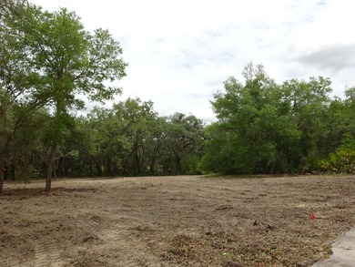 LAKEFRONT LOT IN RAINBOW LAKES ESTATES! Discover the perfect - photo 10