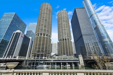 Lake Michigan - Cook County Condo For Sale in Chicago Illinois