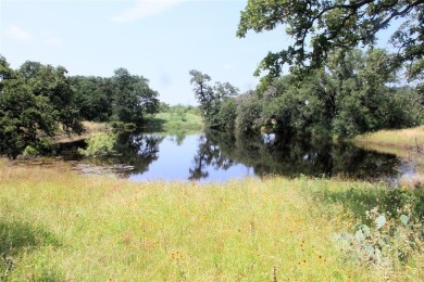 (private lake, pond, creek) Acreage For Sale in San Saba Texas