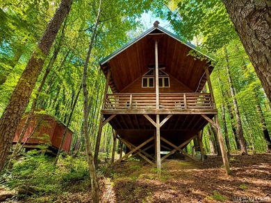 Yes, it's possible to own a charming tiny home on Virginia's - photo 2