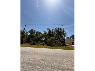 Florida is the new MELTING POT! Great opportunity to BUILD YOUR - photo 2