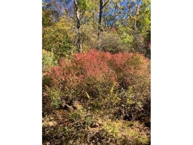 (private lake, pond, coastal) Lot For Sale in Franklin North Carolina