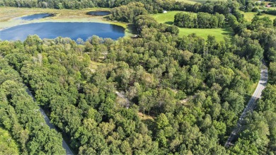 Lake Acreage For Sale in Delton, Michigan