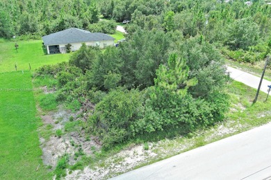Lehigh Acres Area Lot For Sale in Lehigh Acres Florida