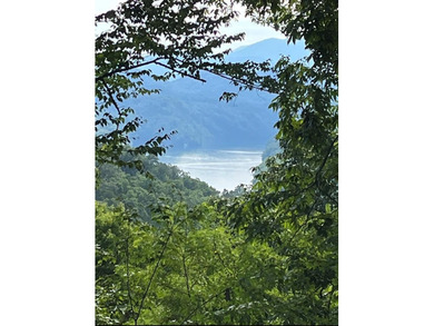 Fontana Lake Lot For Sale in Almond North Carolina