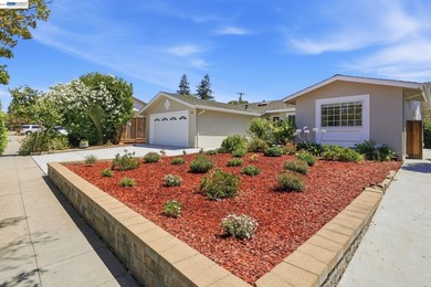 Welcome to this beautifully maintained, move-in ready 4-bedroom - photo 3