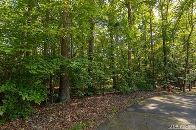Escape the hustle at Lake Gaston's Lyons Creek Estates. This - photo 6