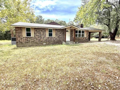 (private lake, pond, creek) Home For Sale in Wideman Arkansas