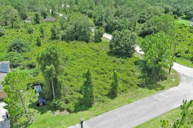 Lehigh Acres Area Lot For Sale in Lehigh Acres Florida