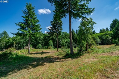 Silver Lake - Cowlitz County Acreage For Sale in Castlerock Washington