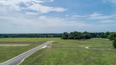 Grand Lake O the Cherokees Lot For Sale in Fairland Oklahoma