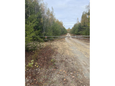 Parks Pond Home For Sale in Clifton Maine