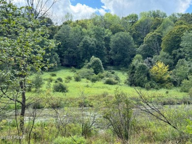 (private lake, pond, creek) Acreage For Sale in Honesdale Pennsylvania