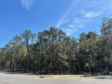 Cul-de-sac lot in desirable Deer Moss Creek(R)! This is one of - photo 1