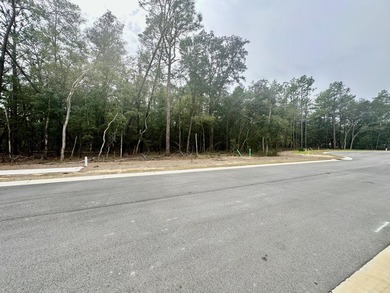 Cul-de-sac lot in desirable Deer Moss Creek(R)! This is one of - photo 2