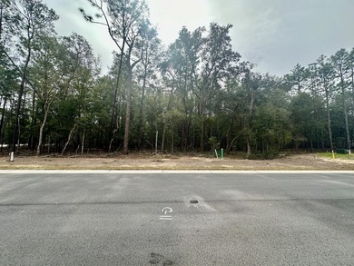Cul-de-sac lot in desirable Deer Moss Creek(R)! This is one of - photo 3