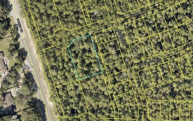 Cul-de-sac lot in desirable Deer Moss Creek(R)! This is one of - photo 6