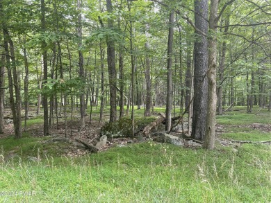 Paupackan Lake Lot For Sale in Hawley Pennsylvania