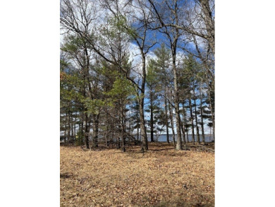 Lake Lot For Sale in Friendship, Wisconsin