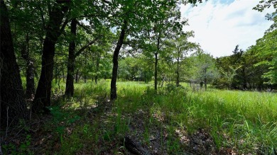 Lake Acreage For Sale in Sunset, Texas