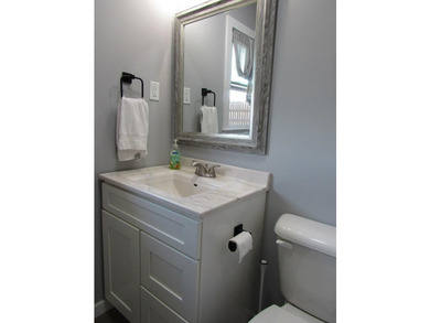 This stunning all-brick ranch has been beautifully remodeled - photo 23