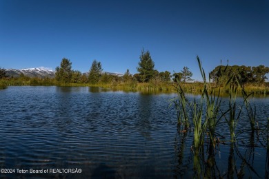 (private lake, pond, creek) Acreage For Sale in Victor Idaho