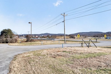 High traffic commercial location near the junction of State Hwy - photo 8