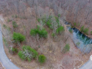 Lake Lot For Sale in Spencer, Tennessee