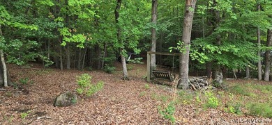 Great lot in Lake Gaston Estates ready for your home and - photo 2