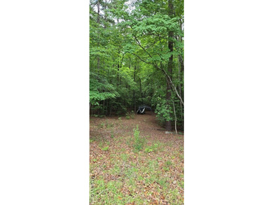 Great lot in Lake Gaston Estates ready for your home and - photo 3