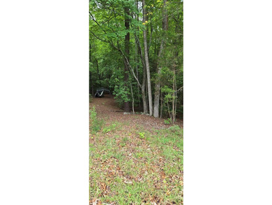 Great lot in Lake Gaston Estates ready for your home and - photo 4