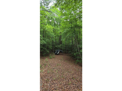 Great lot in Lake Gaston Estates ready for your home and - photo 5