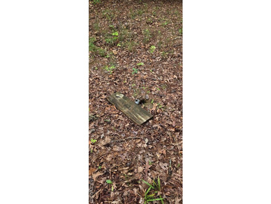 Great lot in Lake Gaston Estates ready for your home and - photo 7