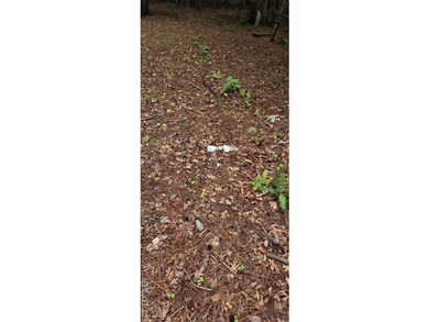 Great lot in Lake Gaston Estates ready for your home and - photo 8