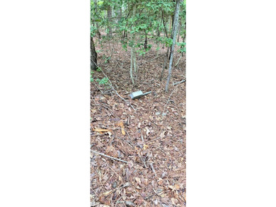 Great lot in Lake Gaston Estates ready for your home and - photo 9