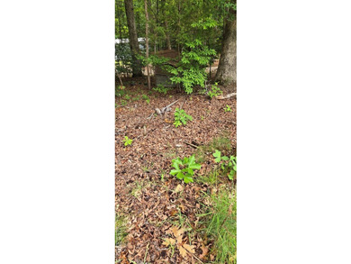 Great lot in Lake Gaston Estates ready for your home and - photo 10