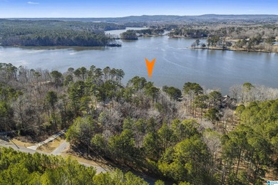 CALL YOUR BUILDER, LAY LAKE MAIN CHANNEL LOT! Secure this rare - photo 5