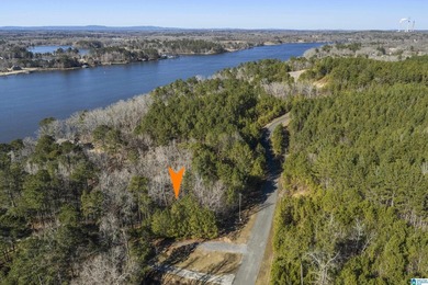 CALL YOUR BUILDER, LAY LAKE MAIN CHANNEL LOT! Secure this rare - photo 7