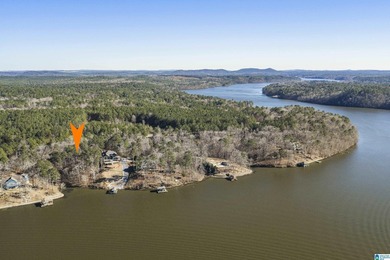 CALL YOUR BUILDER, LAY LAKE MAIN CHANNEL LOT! Secure this rare - photo 9