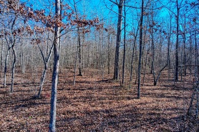 Beautiful lakeside property in the heart of the Cumberland - photo 5