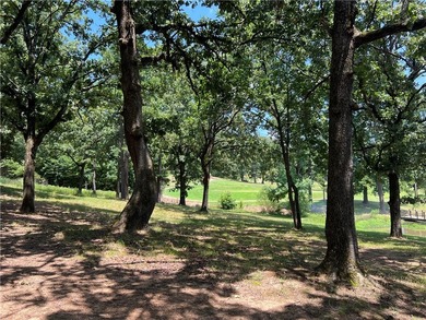 Build your dream home on this beautiful golf course lot - photo 11