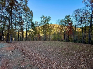 Tuckaseegee River Lot For Sale in Whittier North Carolina