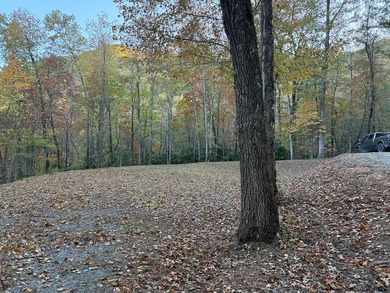 Build your mountain getaway in the desirable gated community of - photo 5