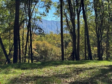 Fontana Lake Acreage For Sale in Bryson City North Carolina