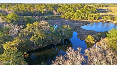 Sunrise marsh views. Single-level living. Iconic Lowcountry - photo 37