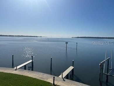 Set within a gated, waterfront community in Oldsmar, this - photo 38