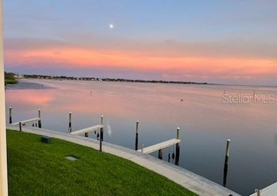 Set within a gated, waterfront community in Oldsmar, this - photo 39