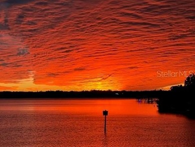 Set within a gated, waterfront community in Oldsmar, this - photo 40