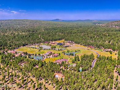 Lake Lot For Sale in Pinetop, Arizona