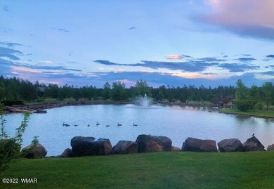 Beautiful 1.03 acre lot at Sierra Springs Ranch backing National - photo 3